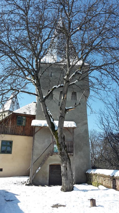Apartmán Casa Marcus Sighişoara Exteriér fotografie